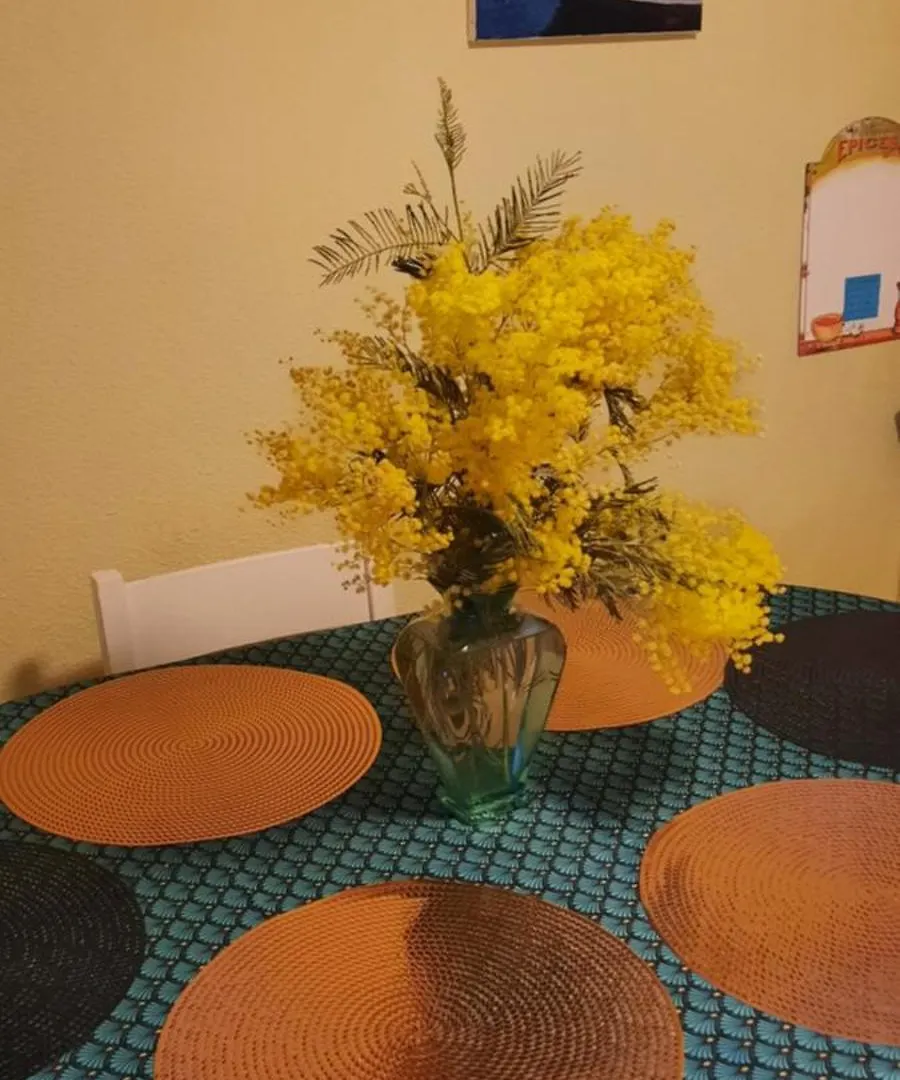 L'Heure Bleue Apartment Bormes-les-Mimosas France
